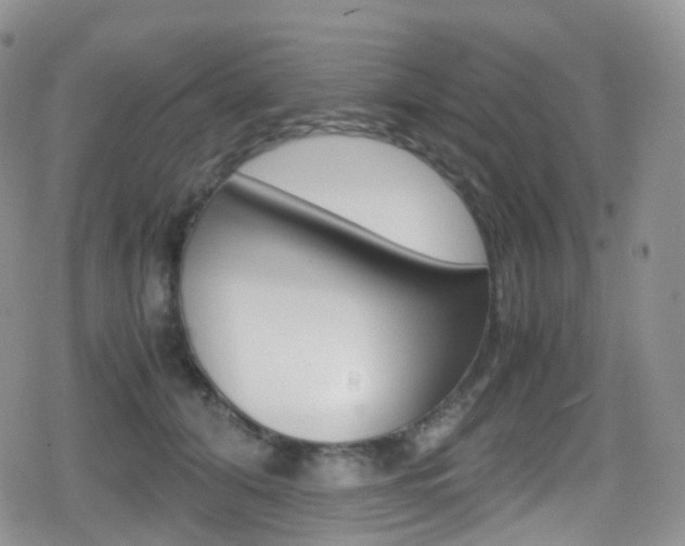 X0000080730608200612150905