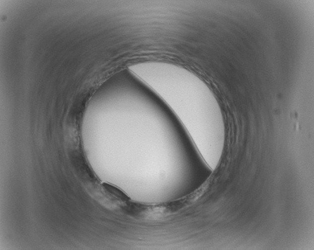 X0000080730609200612150905