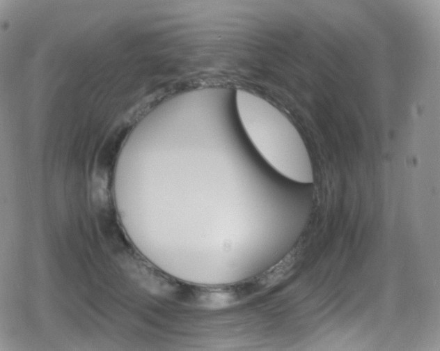 X0000080730610200612150905