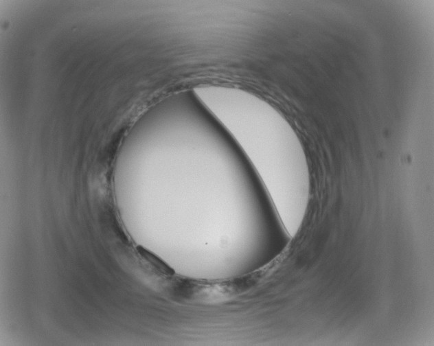 X0000080730611200612150905