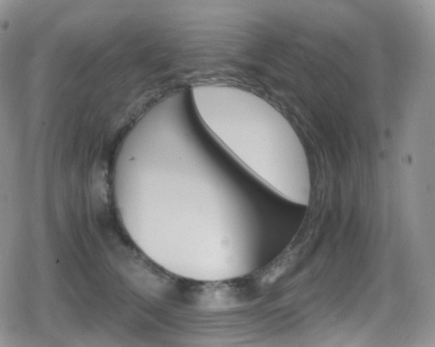 X0000080730612200612150905