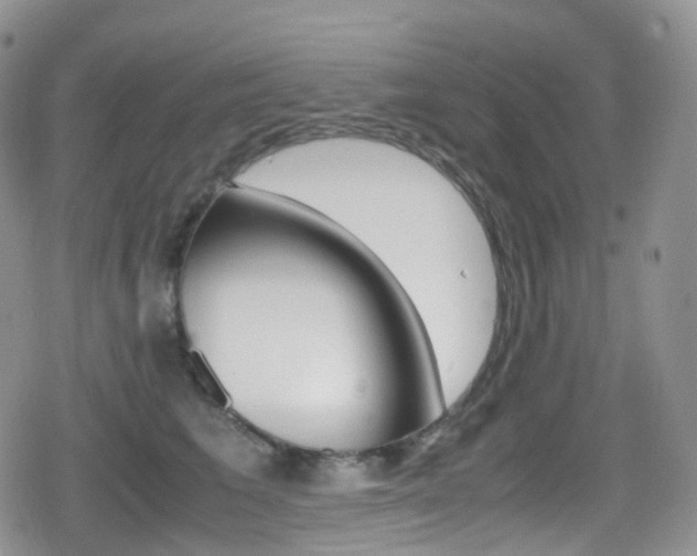 X0000080730613200612150905