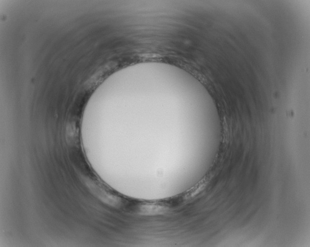 X0000080730614200612150905