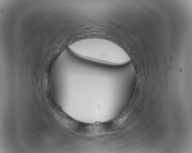 X0000080730615200612150905