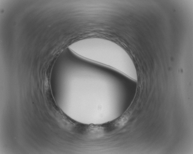 X0000080730617200612150905