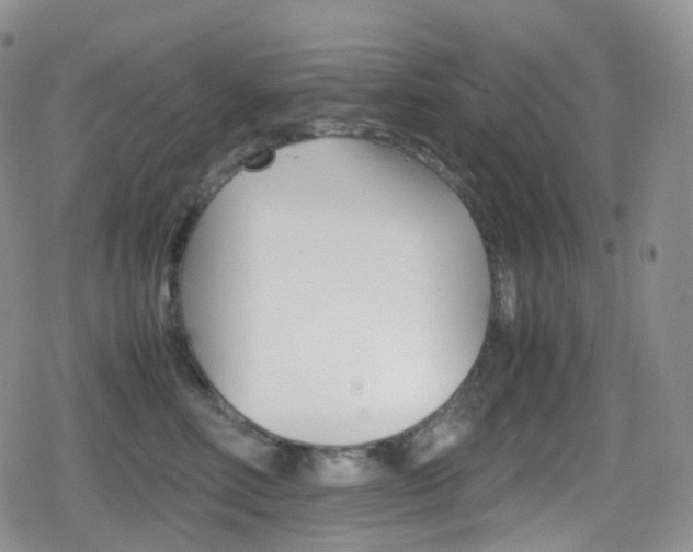 X0000080730618200612150905