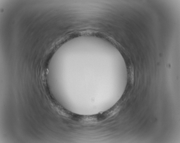 X0000080730619200612150905