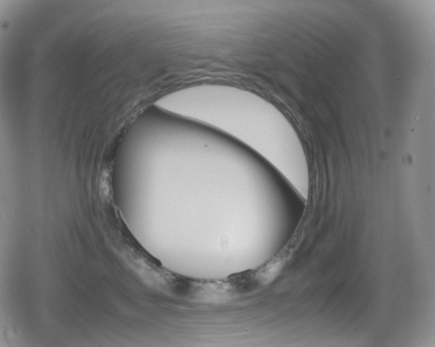 X0000080730621200612150905