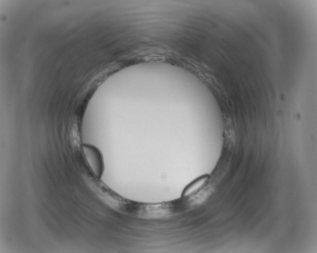 X0000080730622200612150905