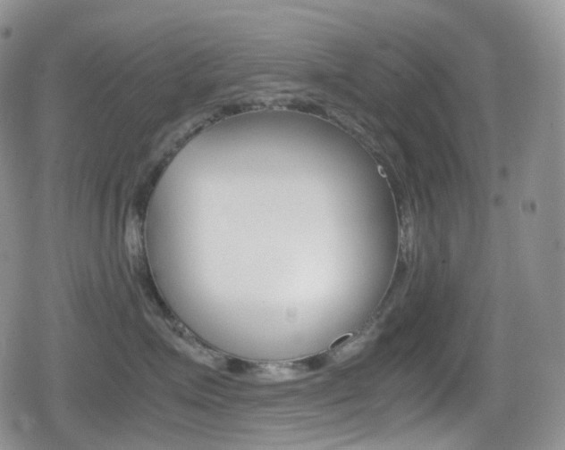 X0000080730623200612150905