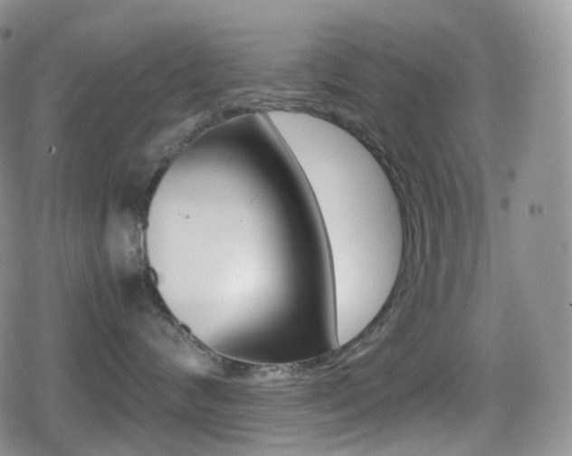 X0000080730624200612150905