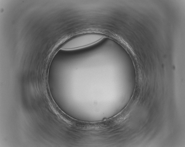 X0000080730625200612150904