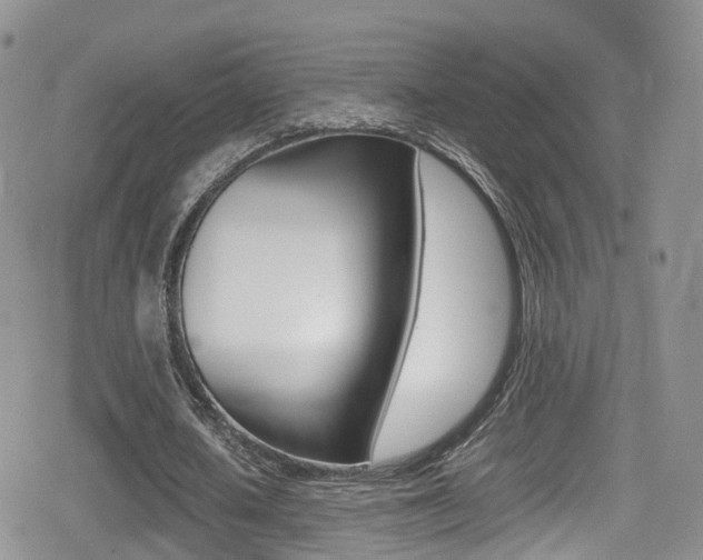 X0000080730626200612150904