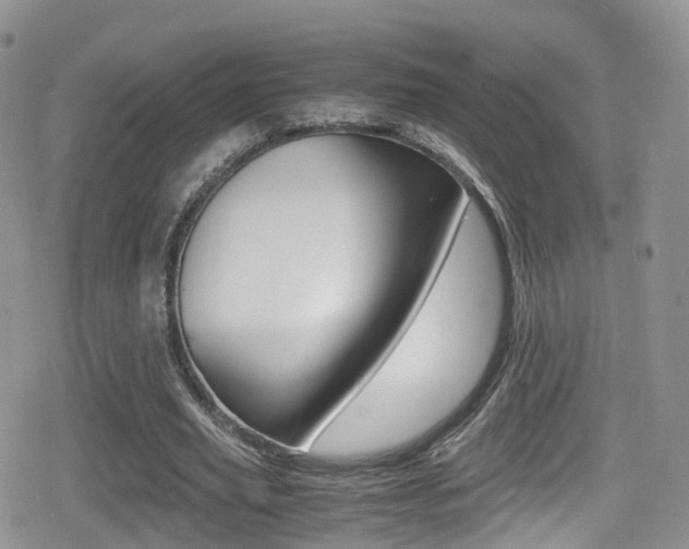 X0000080730629200612150904