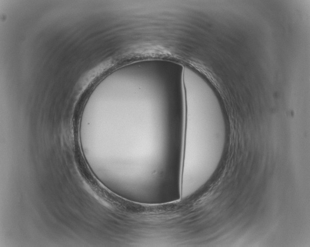 X0000080730630200612150904