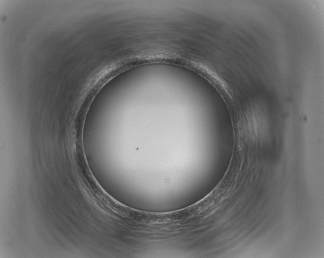 X0000080730631200612150904