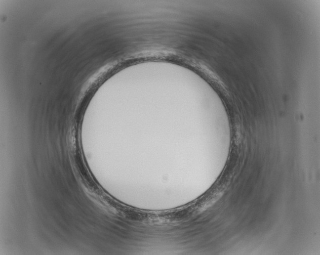 X0000080730632200612150904