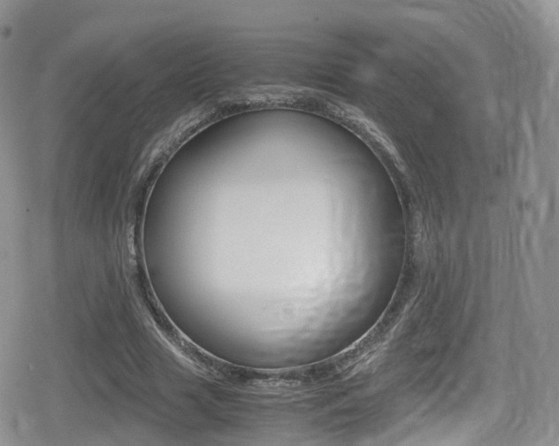 X0000080730633200612150904