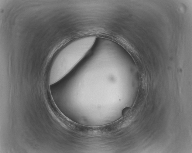 X0000080730634200612150904