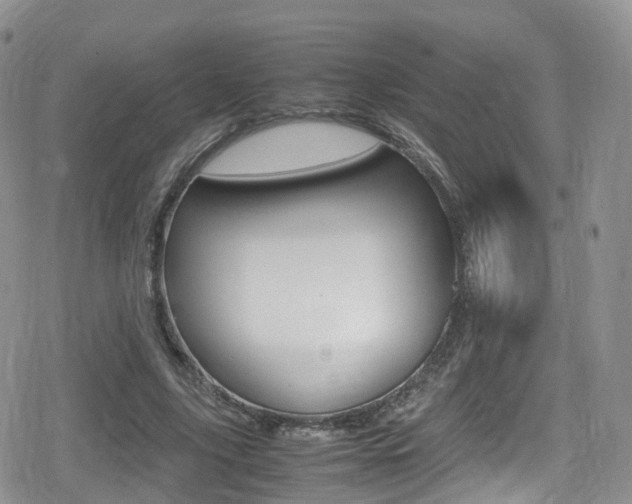 X0000080730635200612150904