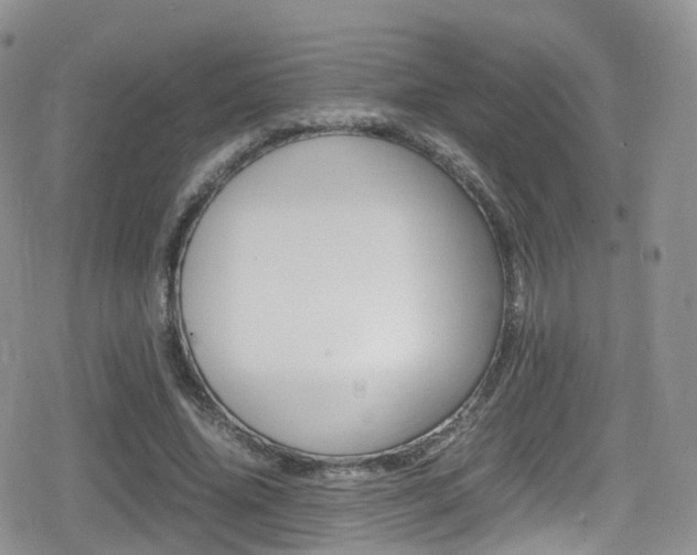 X0000080730636200612150904