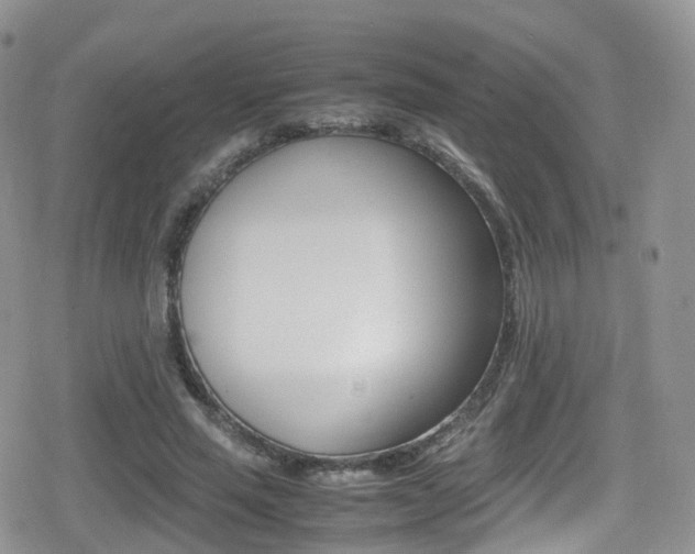 X0000080730637200612150904