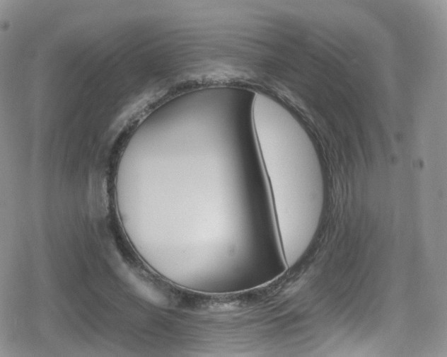 X0000080730638200612150904