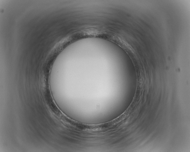 X0000080730639200612150904