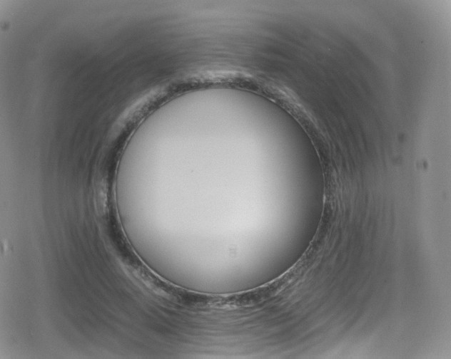 X0000080730640200612150904