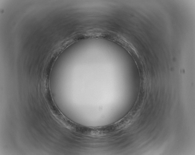 X0000080730641200612150904