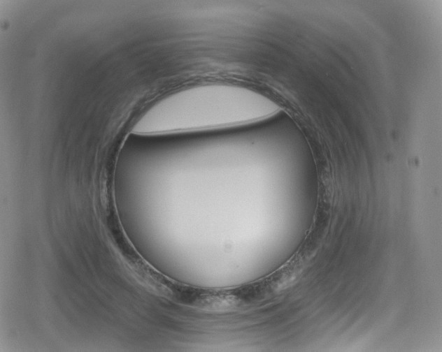 X0000080730642200612150904