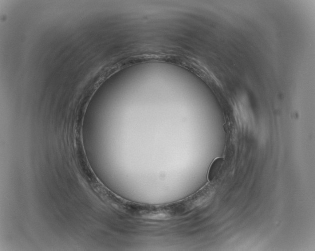 X0000080730643200612150904