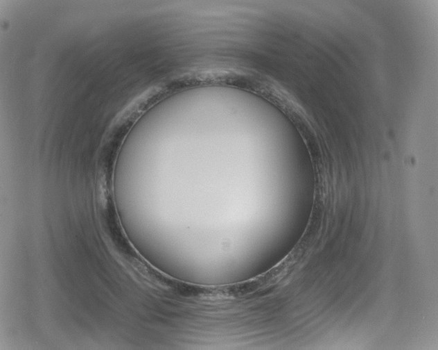 X0000080730644200612150904