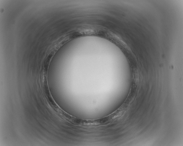 X0000080730645200612150904