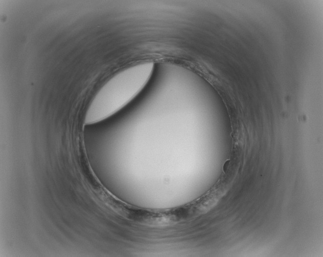 X0000080730646200612150904