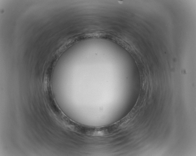 X0000080730647200612150904