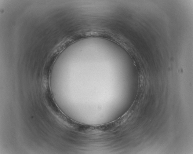 X0000080730648200612150904