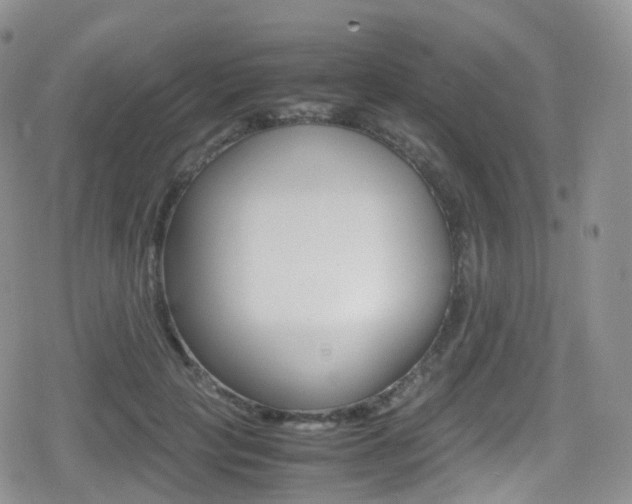 X0000080730649200612150904