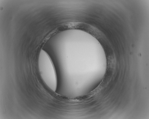 X0000080730650200612150904