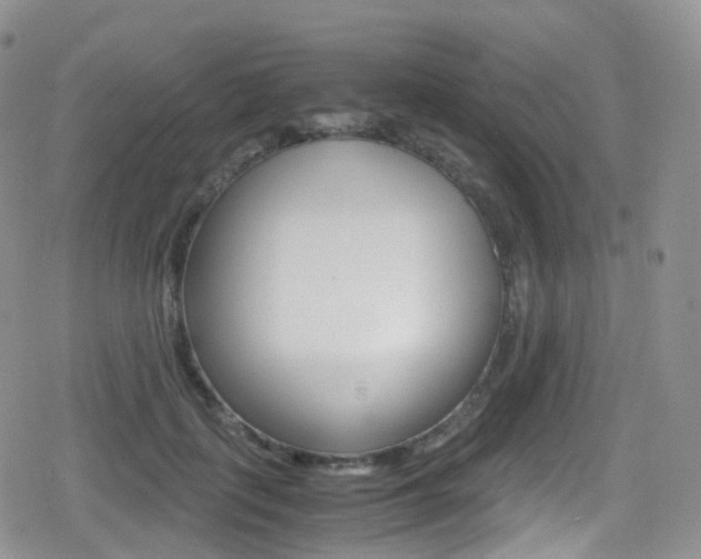 X0000080730651200612150904