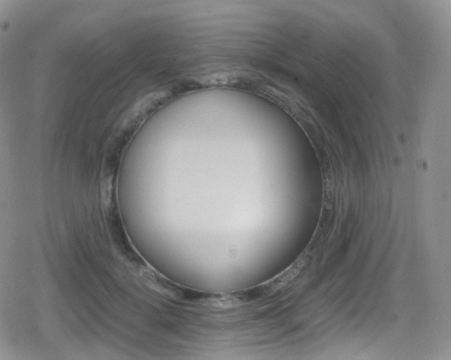 X0000080730652200612150904