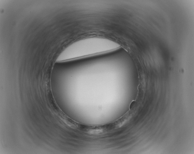 X0000080730653200612150904