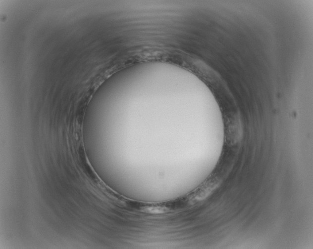 X0000080730654200612150904