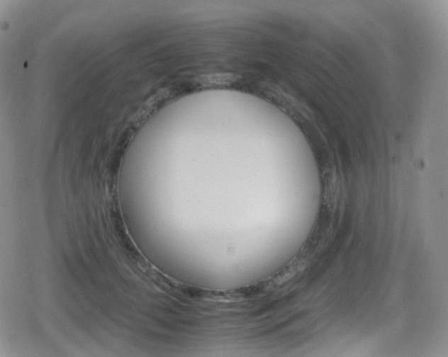 X0000080730655200612150904