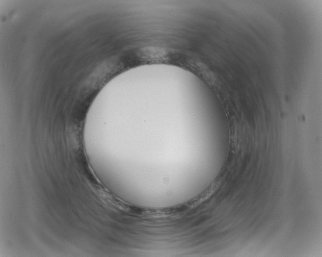 X0000080730658200612150904