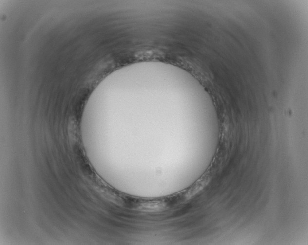 X0000080730659200612150904