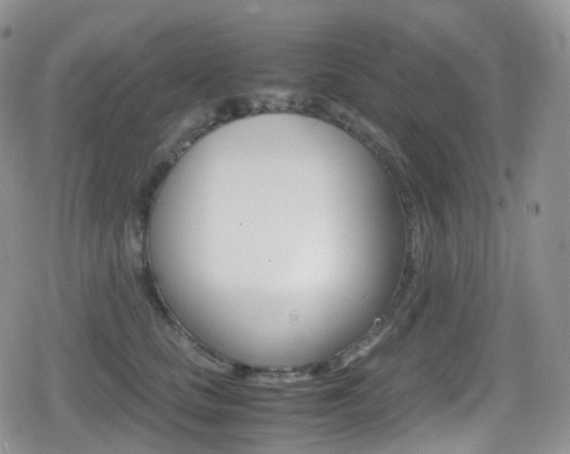 X0000080730661200612150904