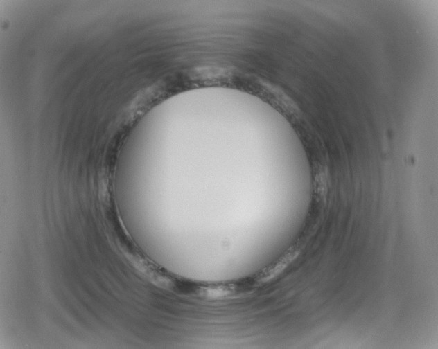 X0000080730662200612150904