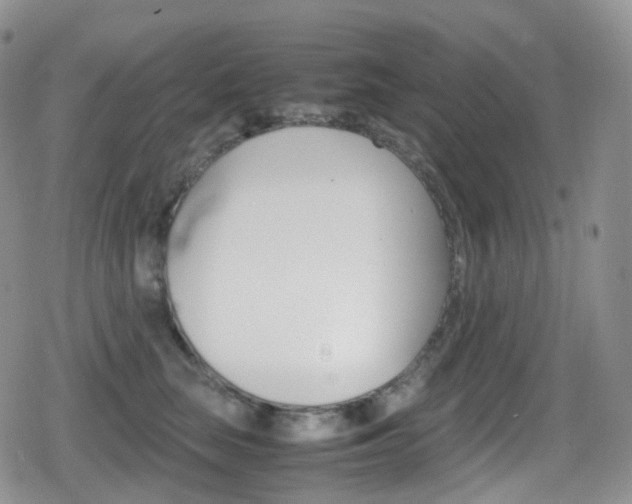 X0000080730663200612150904