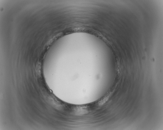 X0000080730664200612150904